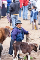 Viehmarkt in Otavalo