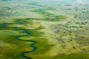 Cubango Fluss, Flug über das Okavangodelta